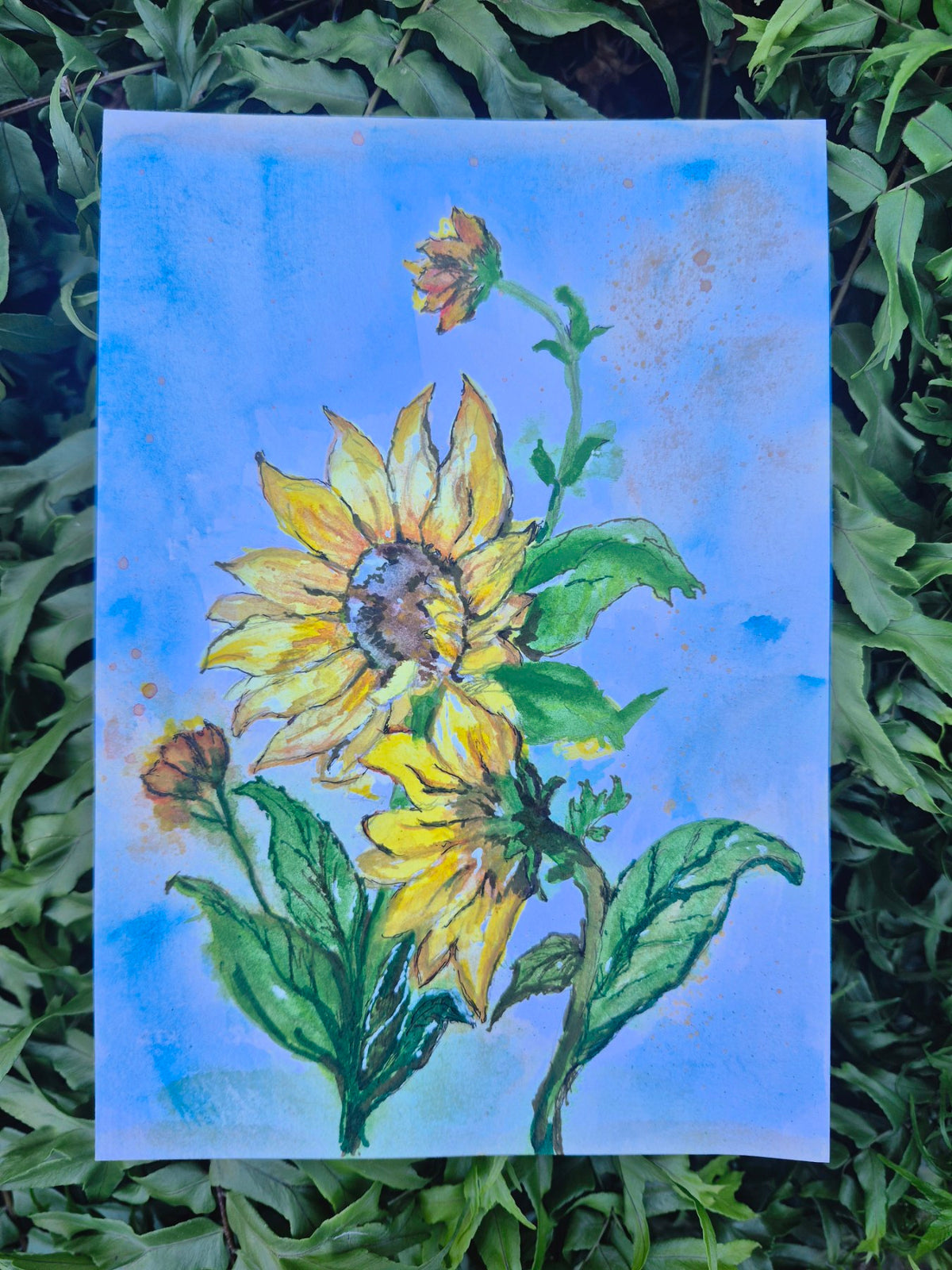 🌻Sunflowers of Hope
